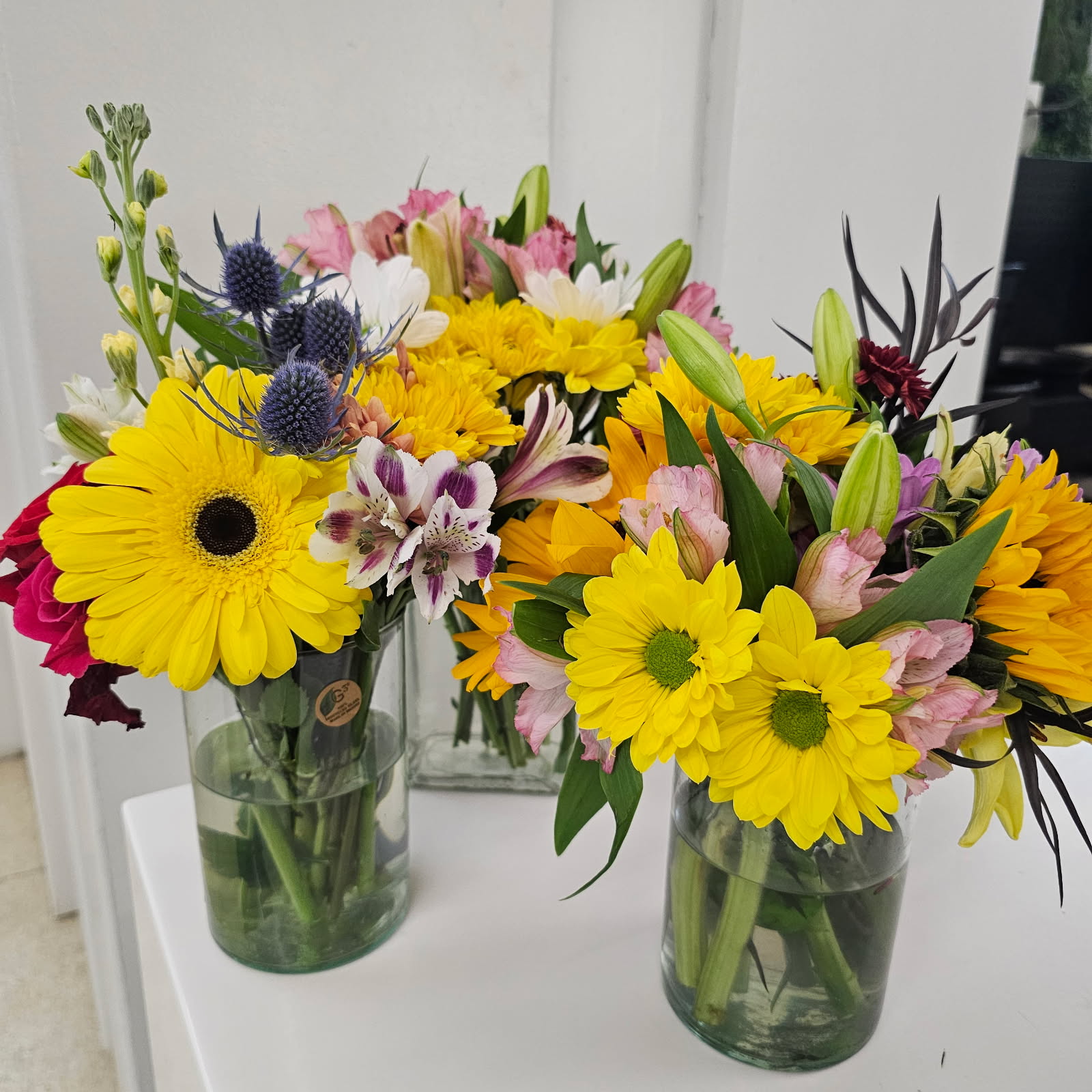 Spring Special